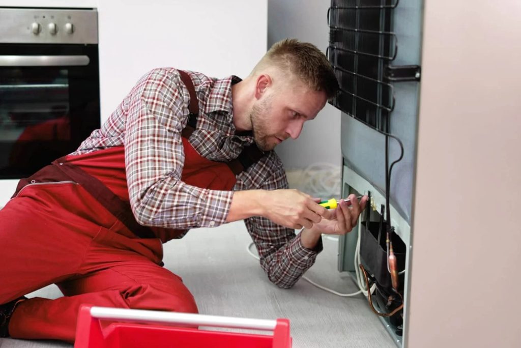 wp-x-image-banner-12-1024x683-8-11zon